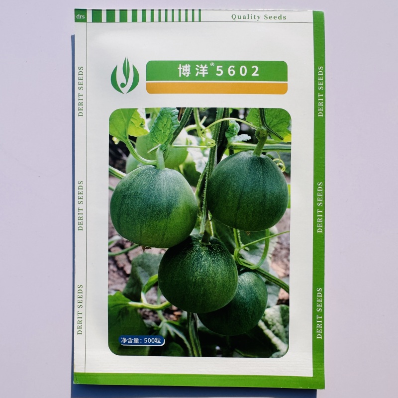 博洋甜瓜种子薄皮超甜绿皮绿肉绿瓤绿宝石甜瓜种子高产早熟