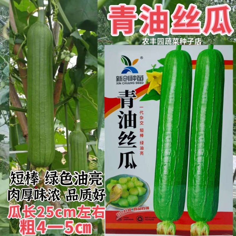 新创青油丝瓜种子早熟杂交短棒肉厚味浓皮绿油亮丝瓜种子蔬菜
