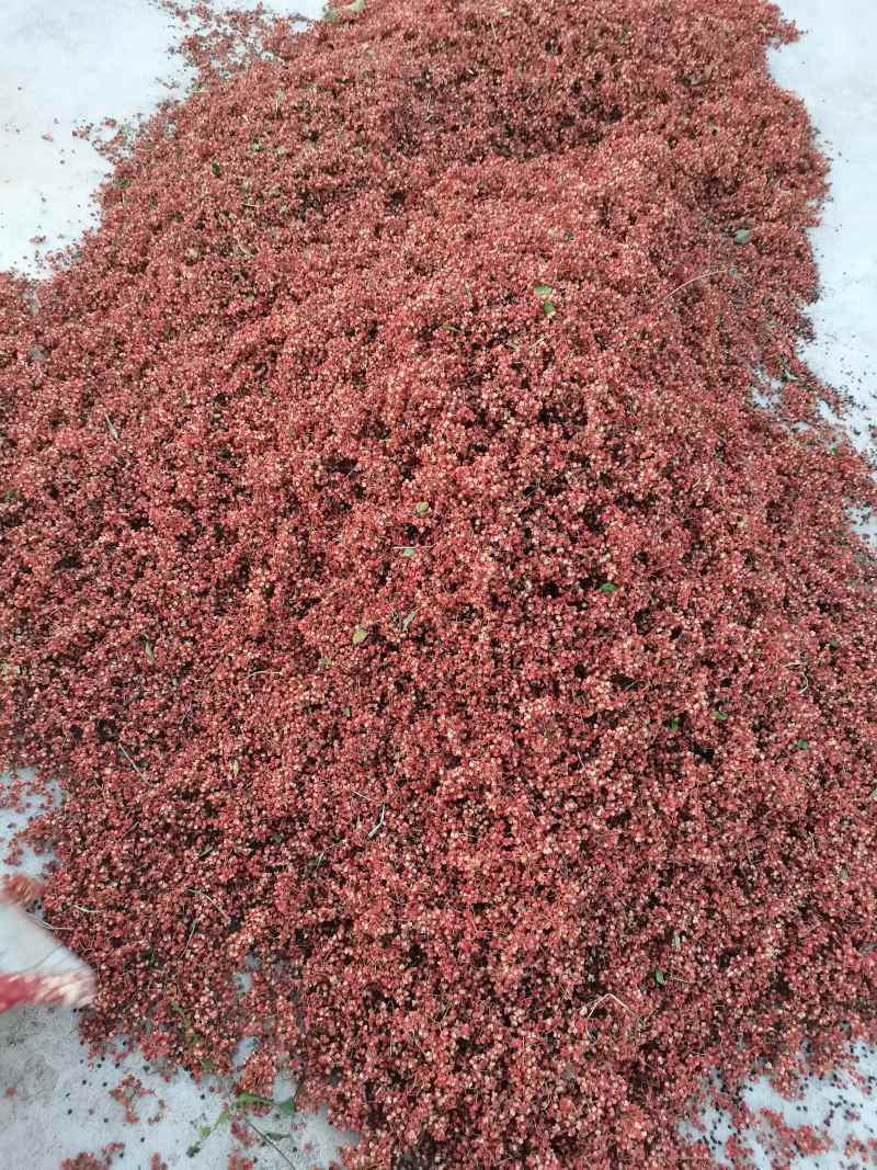 【大红袍花椒】花椒，量大从优，可零售，可批发，诚信经营