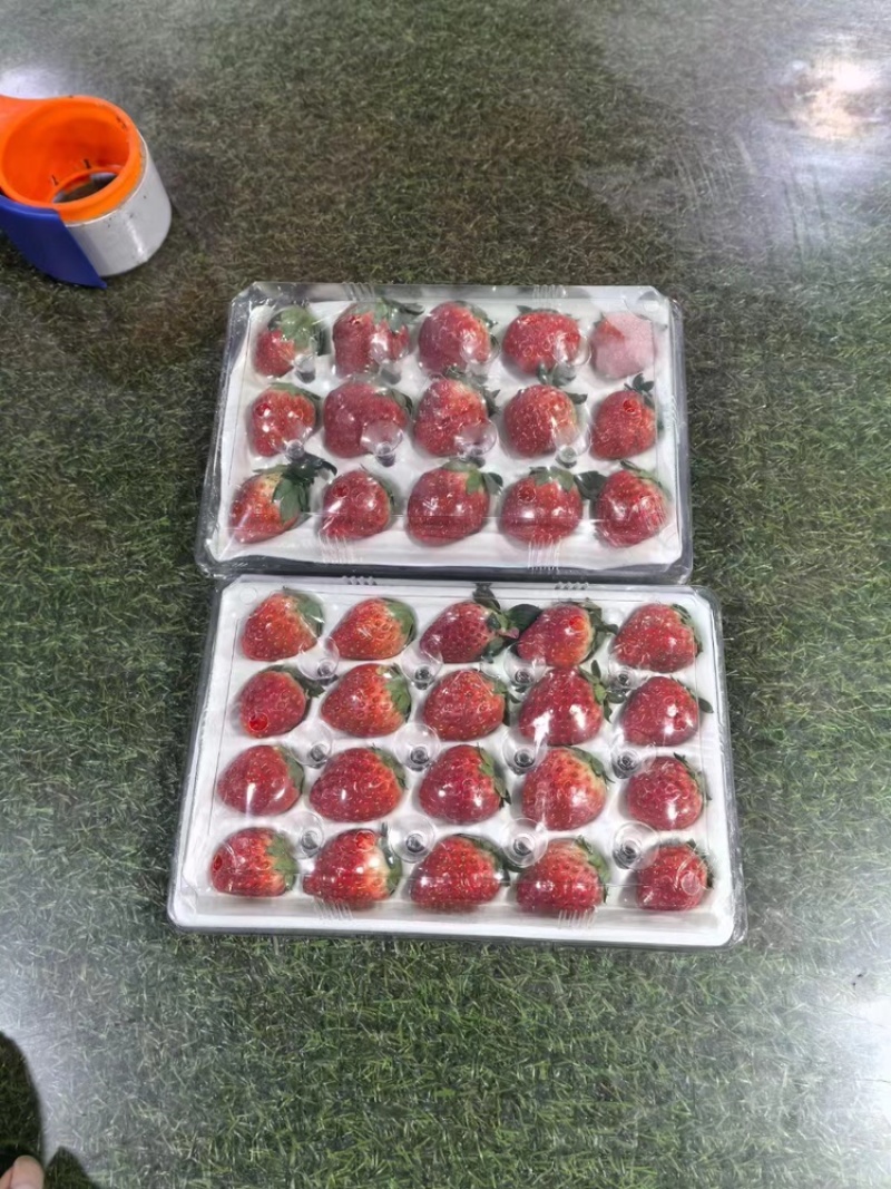 【热卖】安徽精品草莓红颜草莓口感好产地直发品质保障