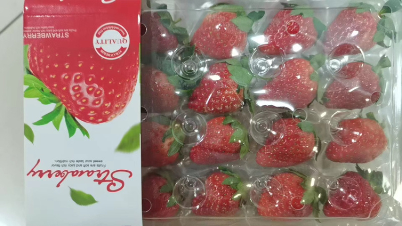 【热卖】安徽精品草莓红颜草莓口感好产地直发品质保障
