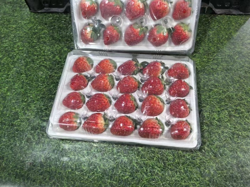 【热卖】安徽精品草莓红颜草莓口感好产地直发品质保障