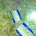 【推荐】山东莴笋/尖叶莴笋/一手货源/诚信经营/欢迎咨询