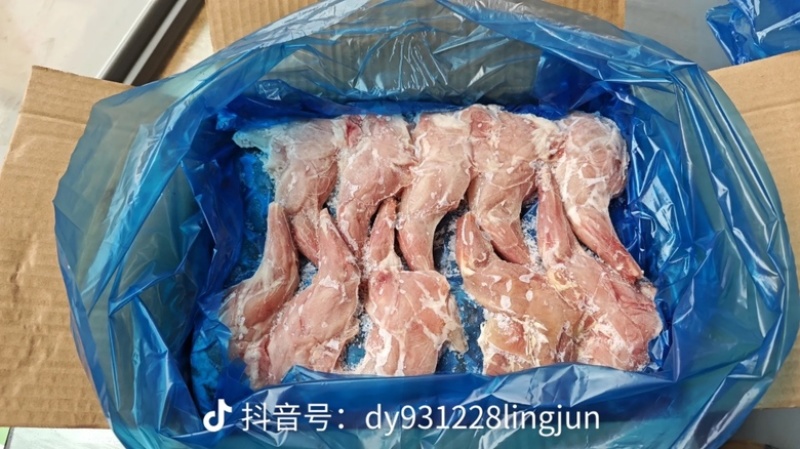 兔前腿