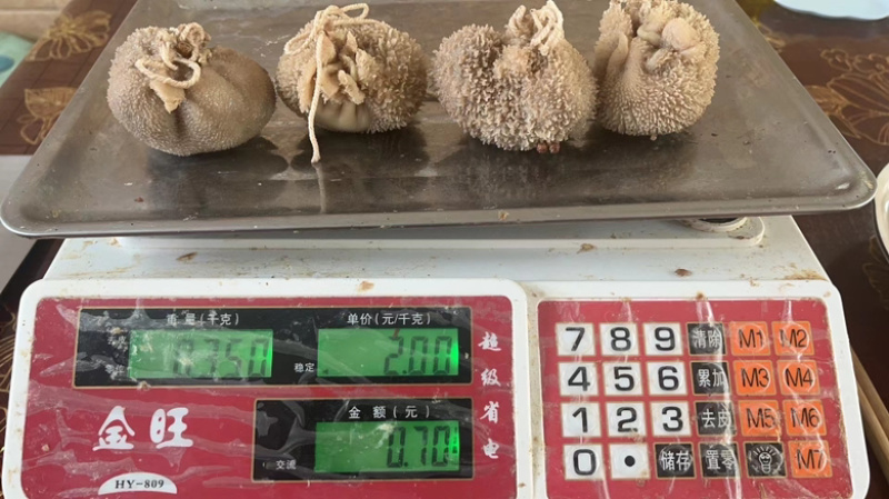 肚包肉