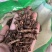 胡黄连好货胡黄连无硫一公斤起批
