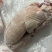 纯干大兔肉（去头，去油，去内脏）