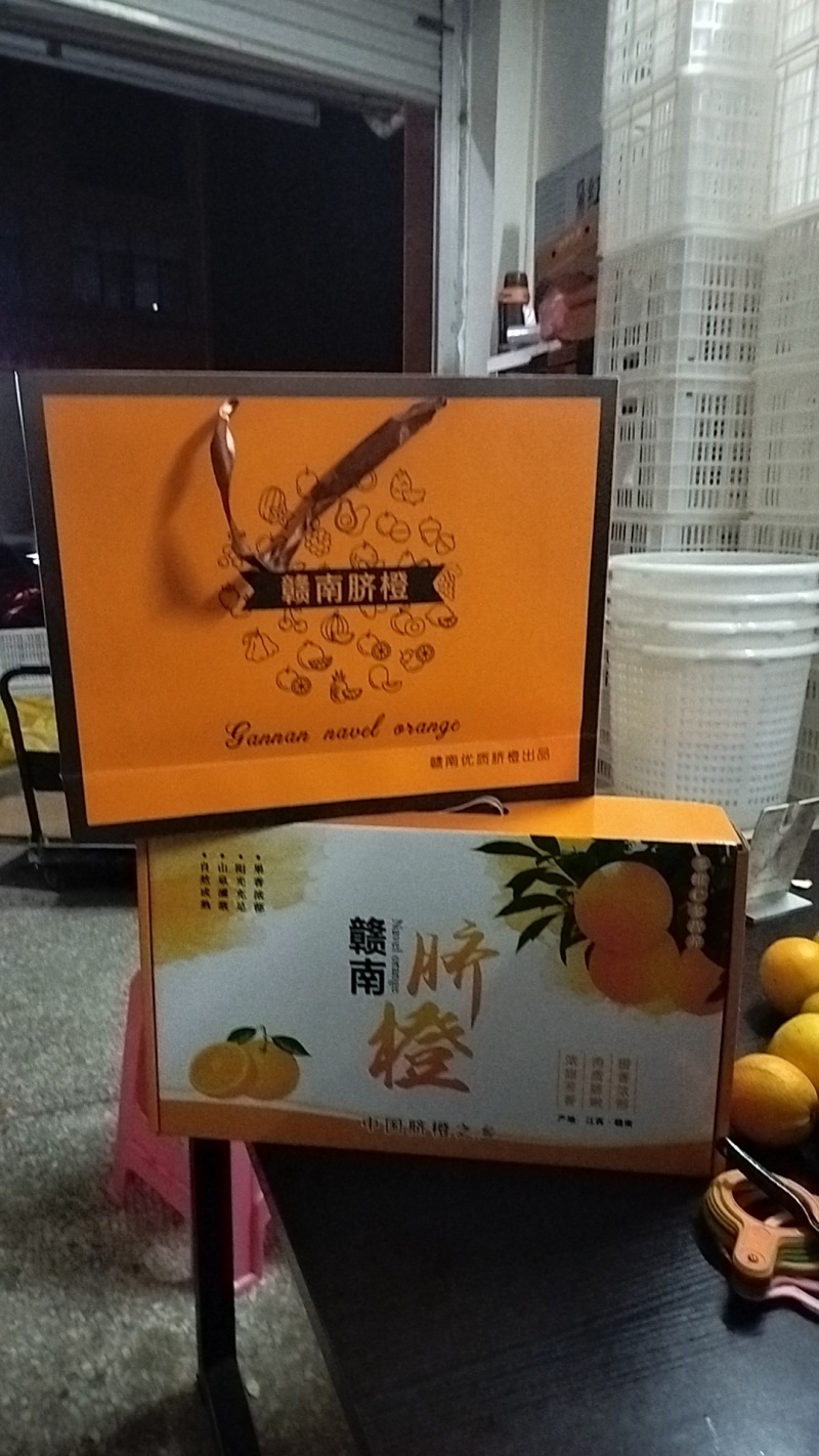 江西赣南脐橙