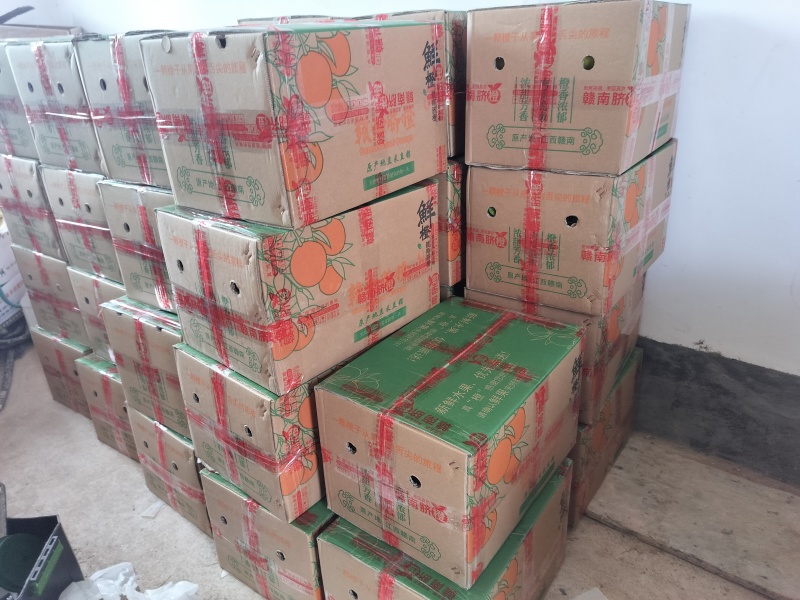 江西赣南脐橙