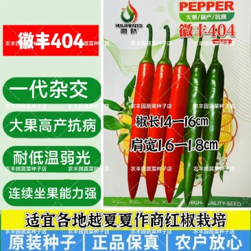 徽丰404辣椒种子大果型中熟抗病高产辣椒种子耐低温弱光辣