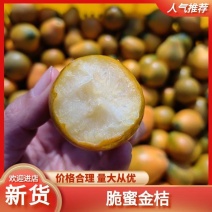 精品脆蜜金桔货源充足量大从优质量保证诚信经营欢迎咨询