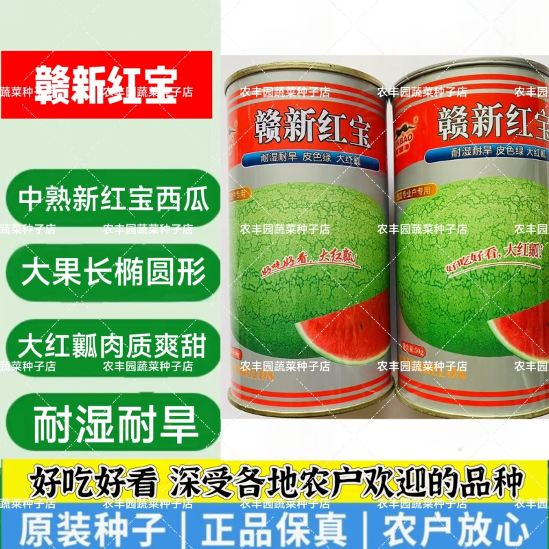 赣新红宝西瓜种子中熟大果耐湿耐旱西瓜种子大红瓤爽甜好吃西