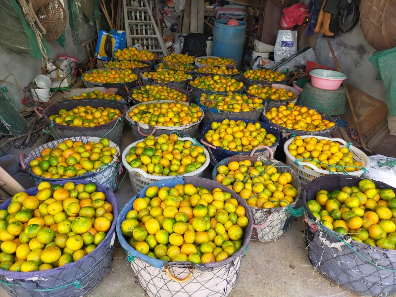 中熟少量上市，需要的老板联系我