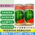 赣新甜王七号西瓜种子早熟籽少皮薄大红瓤西瓜种子籽耐重茬耐