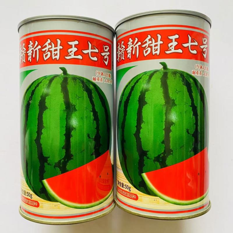 赣新甜王七号西瓜种子早熟籽少皮薄大红瓤西瓜种子籽耐重茬耐