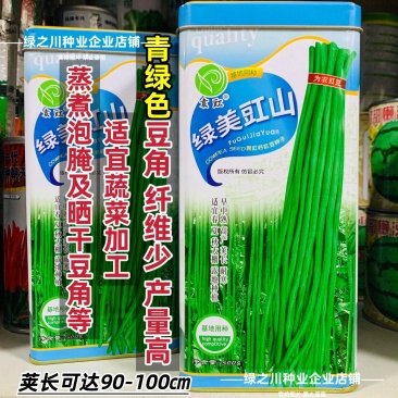 绿美豇山青绿色长豆角种子超长绿条豇豆种子升级901豆角种
