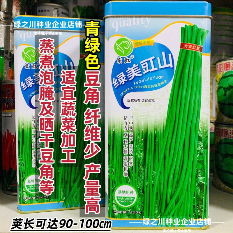绿美豇山青绿色长豆角种子超长绿条豇豆种子升级901豆角种