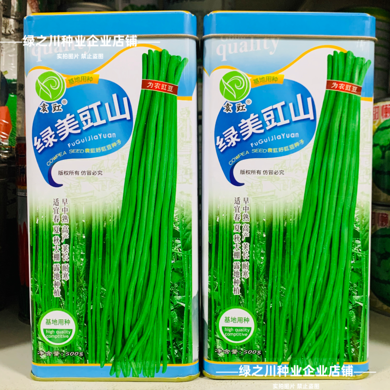 绿美豇山青绿色长豆角种子超长绿条豇豆种子升级901豆角种