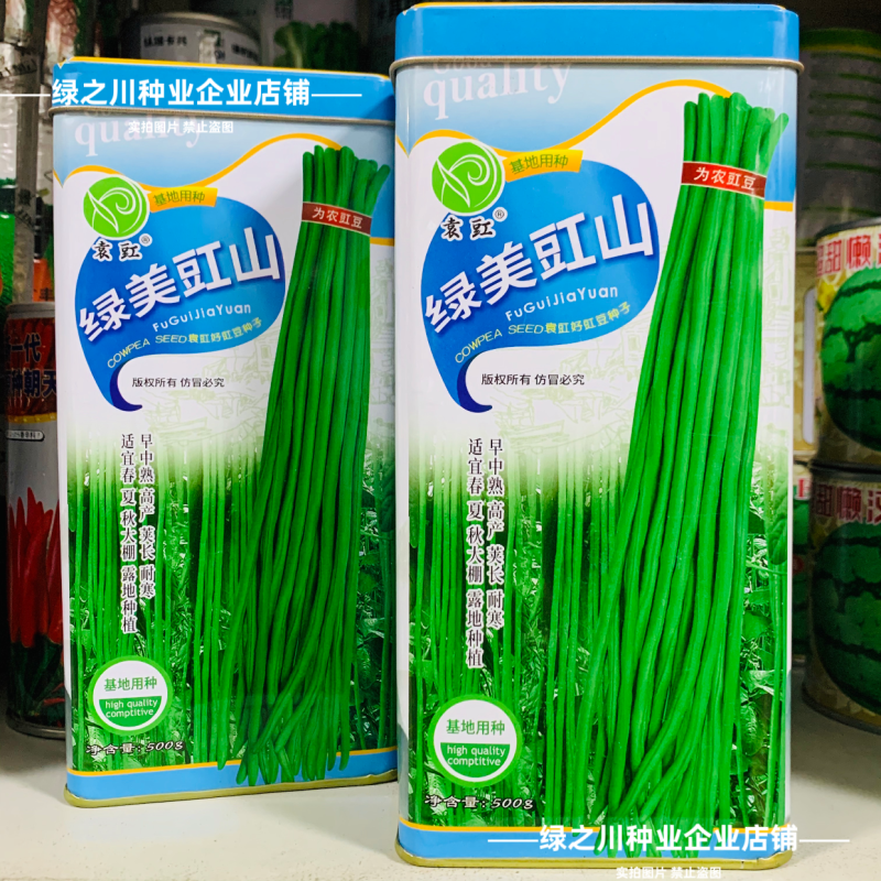 绿美豇山青绿色长豆角种子超长绿条豇豆种子升级901豆角种