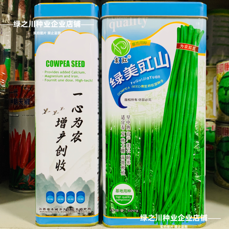 绿美豇山青绿色长豆角种子超长绿条豇豆种子升级901豆角种