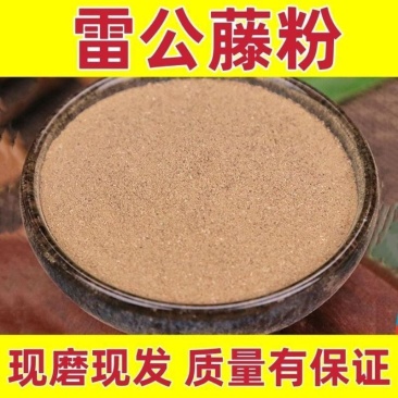 雷公藤粉中药材粉现磨雷公藤超细粉拔契粉