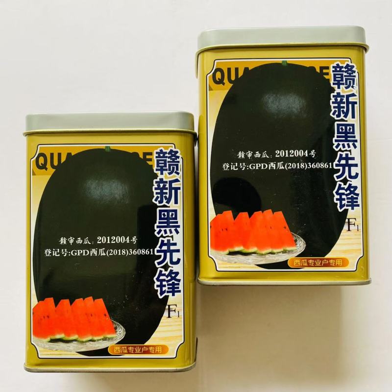 赣新黑先锋/黑瓜王子一号西瓜种子耐重茬耐湿耐旱黑皮西瓜种