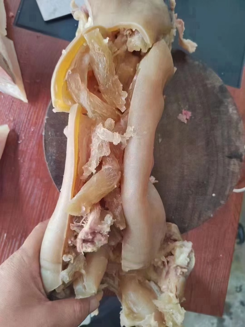 熟去骨带筋牛蹄，纯干货，跑江湖地摊赶集，火锅店专用产品