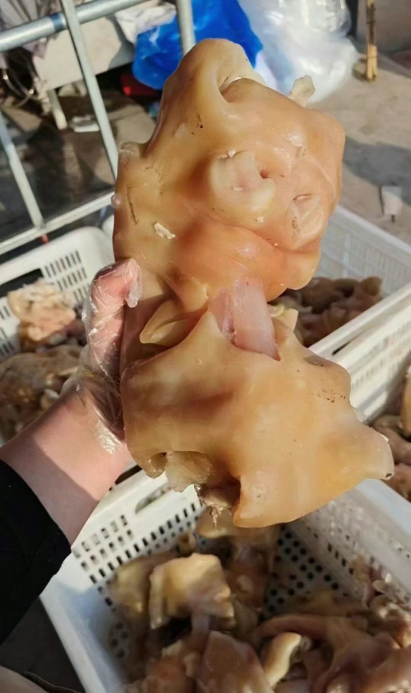 熟去骨带筋牛蹄，纯干货，跑江湖地摊赶集，火锅店专用产品