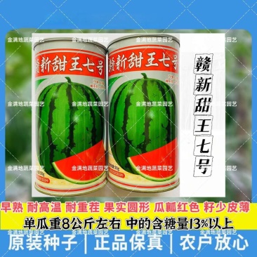 赣新甜王七号西瓜种子早熟籽少皮薄大红瓤西瓜种子籽耐重茬耐