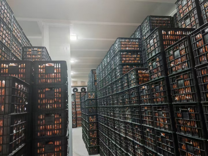 湖南橙子纽荷尔脐橙货源充足产地一手货源欢迎联系