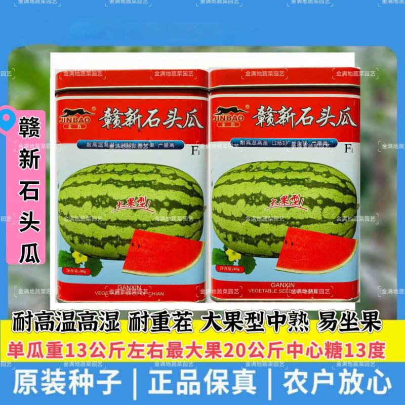 赣新石头瓜西瓜种子中熟大果红肉口感好西瓜种子耐高温高湿耐
