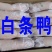 白条鸭，鸭产品，樱桃谷鸭