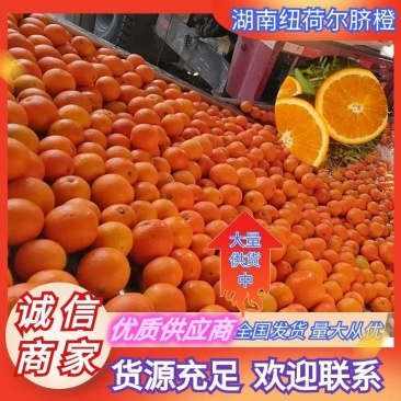 脐橙湖南纽荷尔脐橙价格实惠欢迎联系供全国市场批发