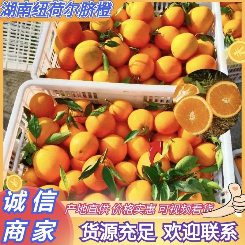 湖南橙子纽荷尔脐橙货源充足产地一手货源欢迎联系