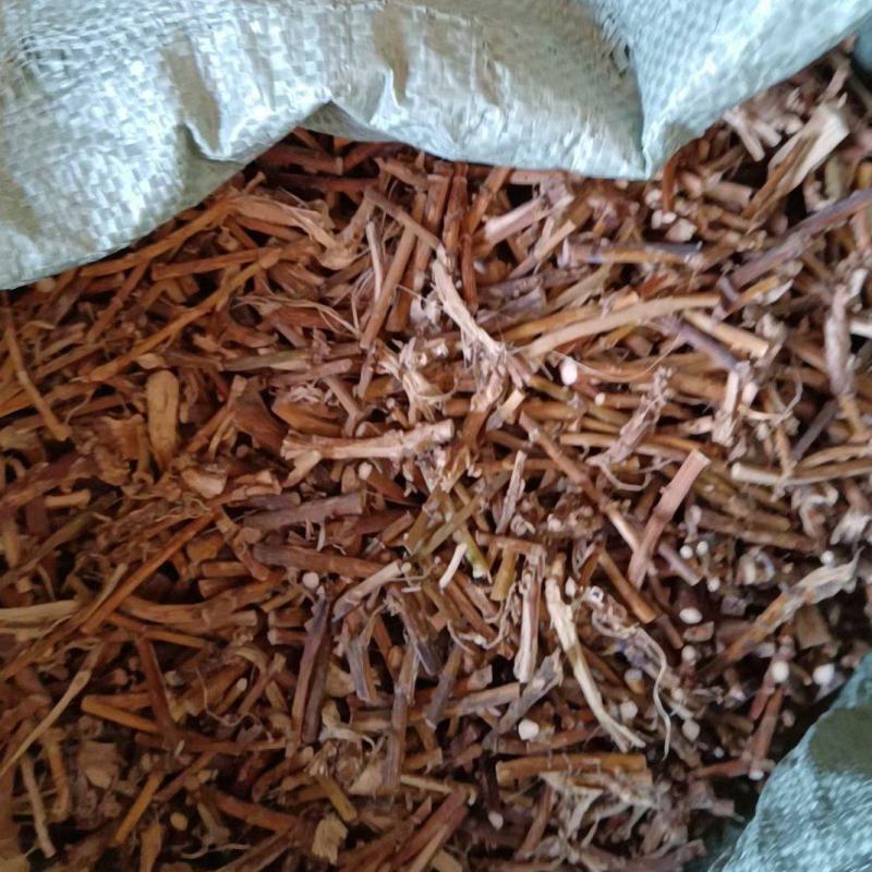 春砂仁根