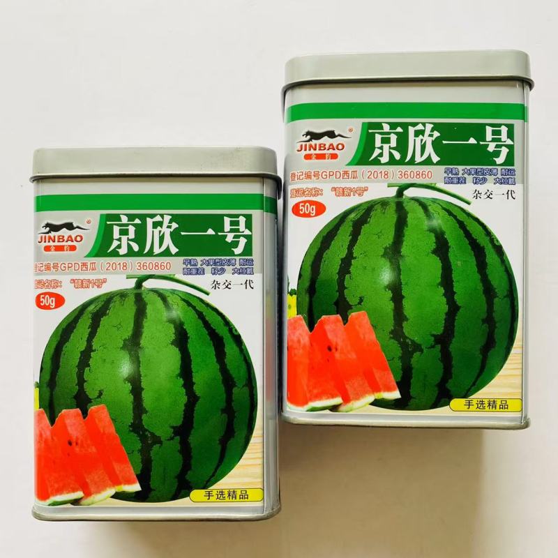 京欣一号/京欣二号西瓜种子早熟大果籽少皮薄西瓜种子耐重茬
