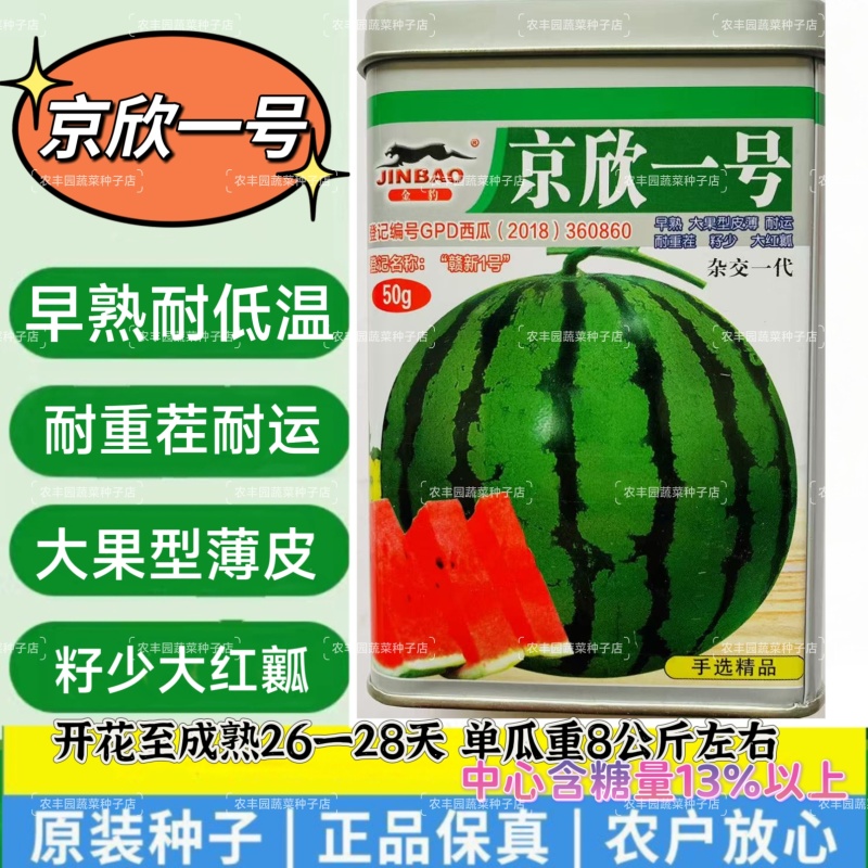 京欣一号/京欣二号西瓜种子早熟大果籽少皮薄西瓜种子耐重茬