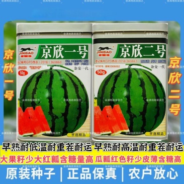 京欣一号/京欣二号西瓜种子早熟大果籽少皮薄西瓜种子耐重茬