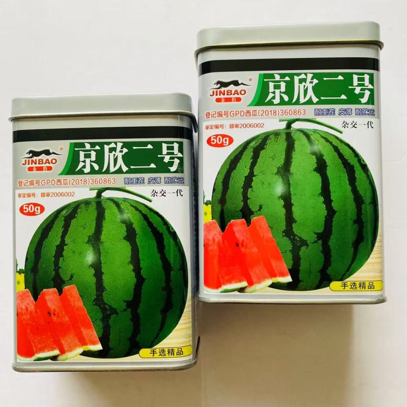 京欣一号/京欣二号西瓜种子早熟大果籽少皮薄西瓜种子耐重茬