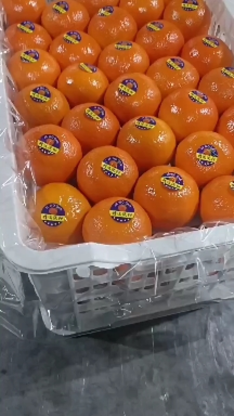 【推荐】广西武鸣沃柑大量有货一手货源对接商超批发市场