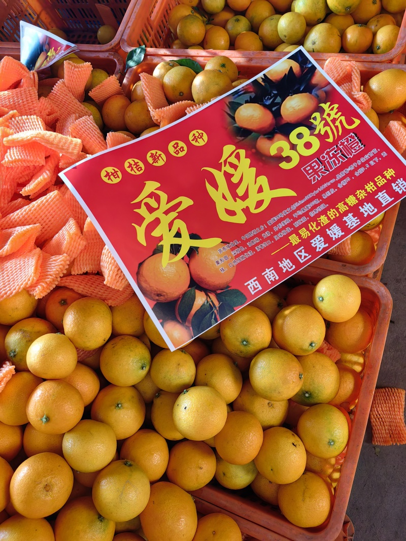爱嫒38/果冻橙/爆汁橙水分足/入口化渣现摘现发一手货源