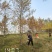 10-18水杉大量供应水杉树，杆直冠圆，支持线上保障交易