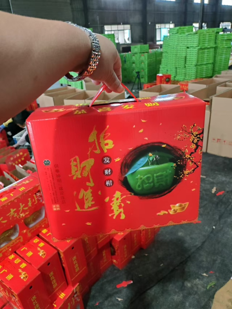 橘子柑子元宝柑发财柑