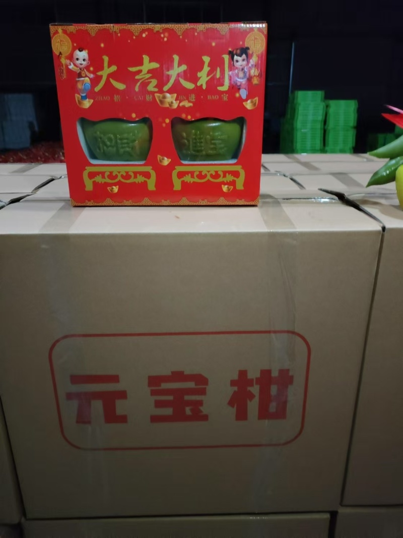 橘子柑子元宝柑发财柑