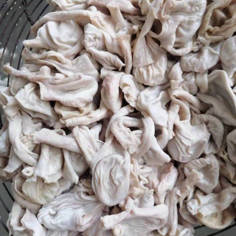蛋鸡嗉皮长肚（八成熟