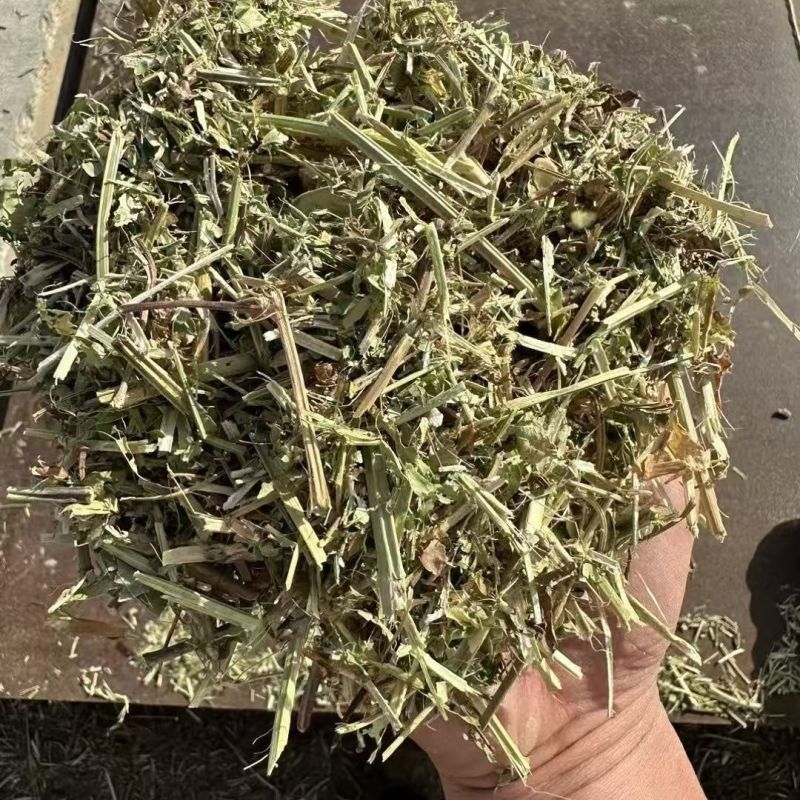 【精品花生秧】河南正阳产地直发一手货源质量上乘欢迎订购