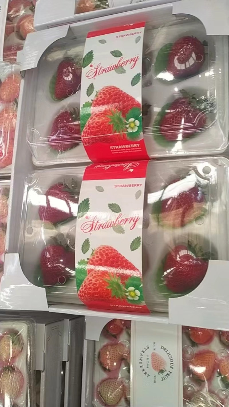 大凉山黑珍珠草莓，一件代发，供应各电商和社区团购