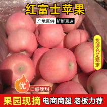 红富士苹果75mm以上纸袋，一手货源，欢迎进店咨询采购！