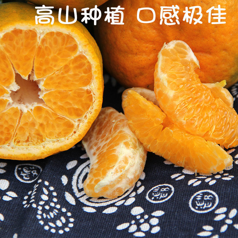 【推荐】四川椪柑（芦柑）量大从优保质保量现摘现发对接全国