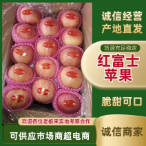 红富士苹果80mm以上纸袋，大量供应，欢迎进店咨询采购！